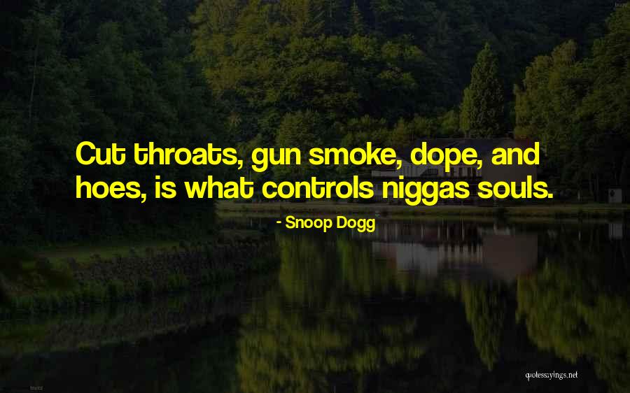 I Got Hoes Quotes By Snoop Dogg I Got Hoes Quotes By Snoop Dogg
