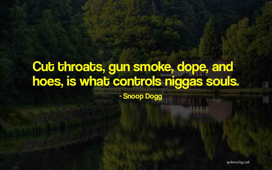 I Got Hoes Quotes By Snoop Dogg