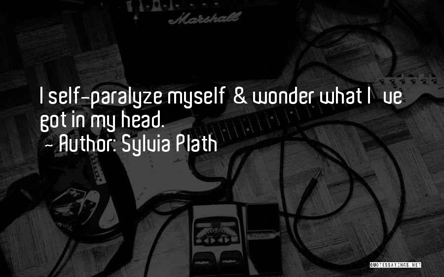 I Got Myself Quotes By Sylvia Plath