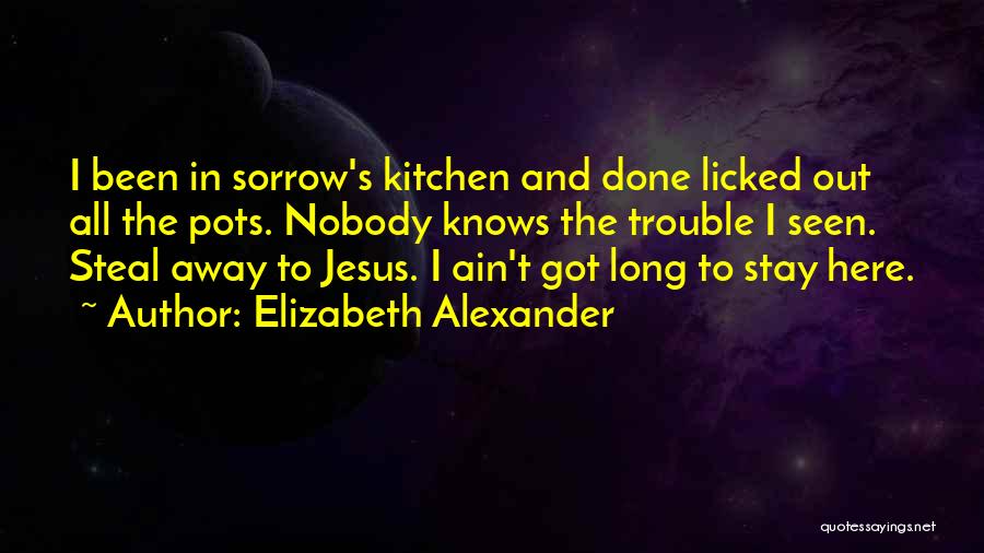 I Got Nobody Quotes By Elizabeth Alexander