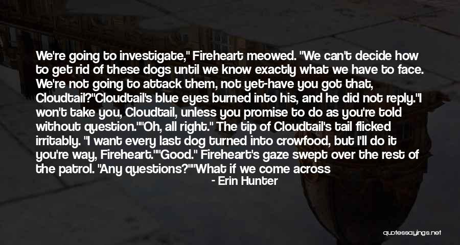 I Got Over Him Quotes By Erin Hunter I Got Over Him Quotes By Erin Hunter