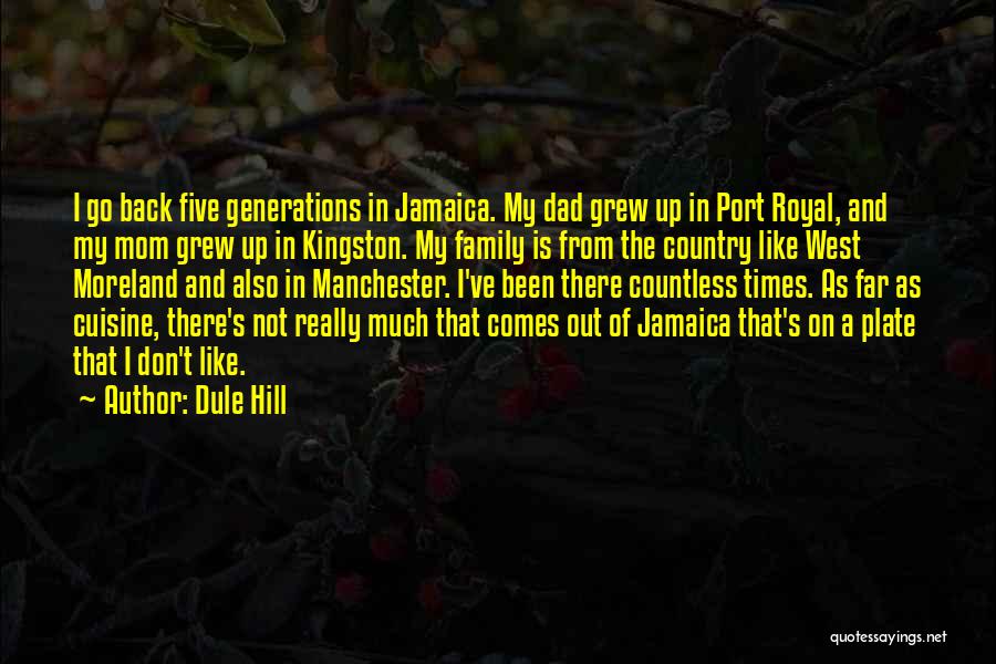 I Grew Up Country Quotes By Dule Hill