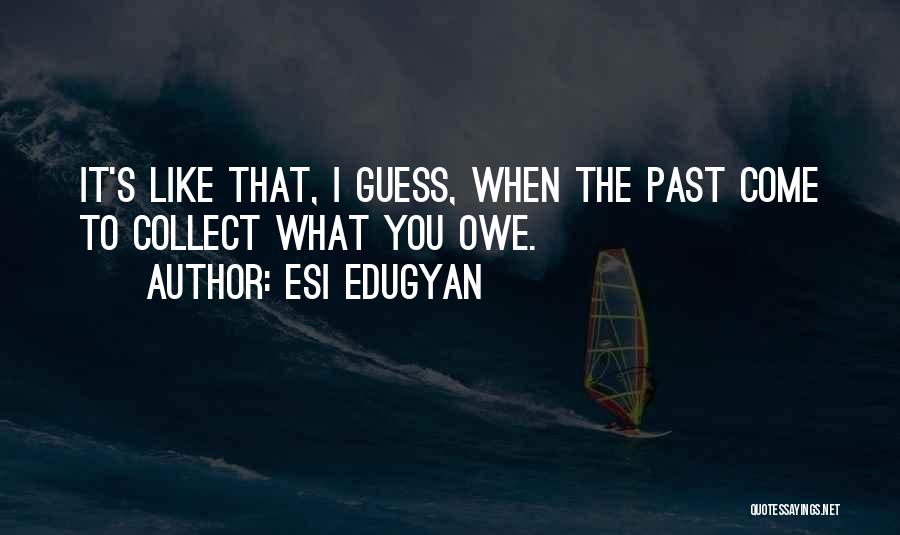 I Guess That's Life Quotes By Esi Edugyan