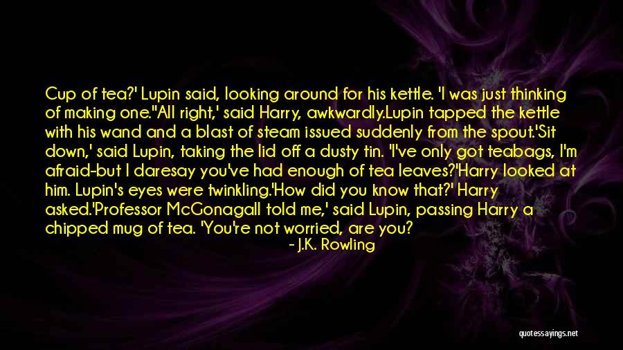 I Had A Blast Quotes By J.K. Rowling