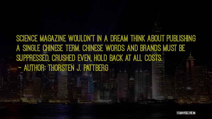 I Had A Dream About Him Quotes By Thorsten J. Pattberg