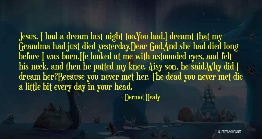 I Had A Dream With You Quotes By Dermot Healy