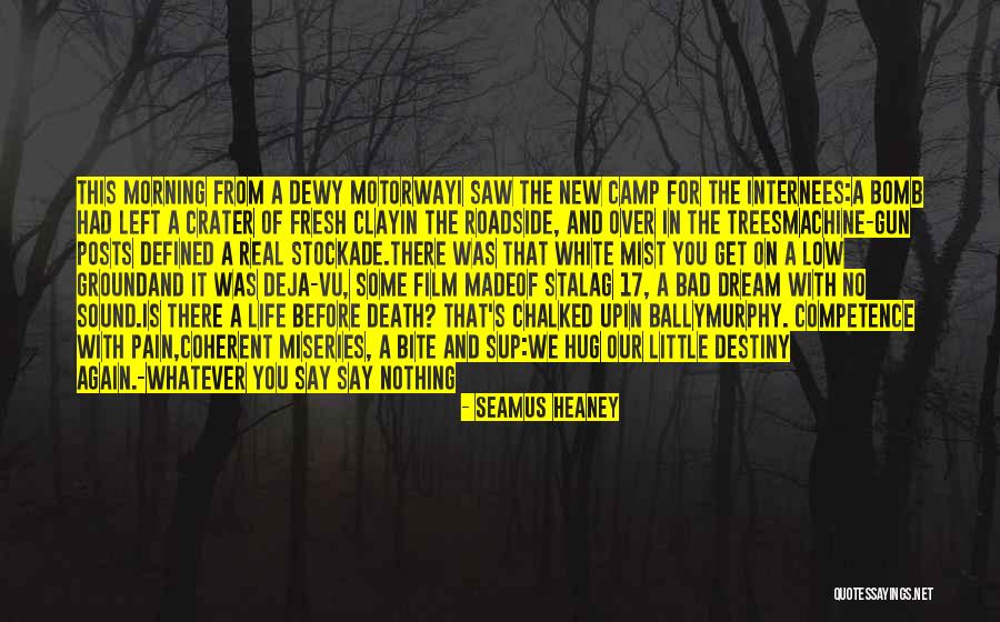 I Had A Dream With You Quotes By Seamus Heaney