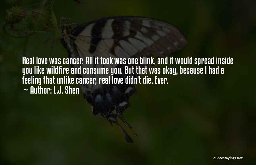 I Had Cancer Quotes By L.J. Shen