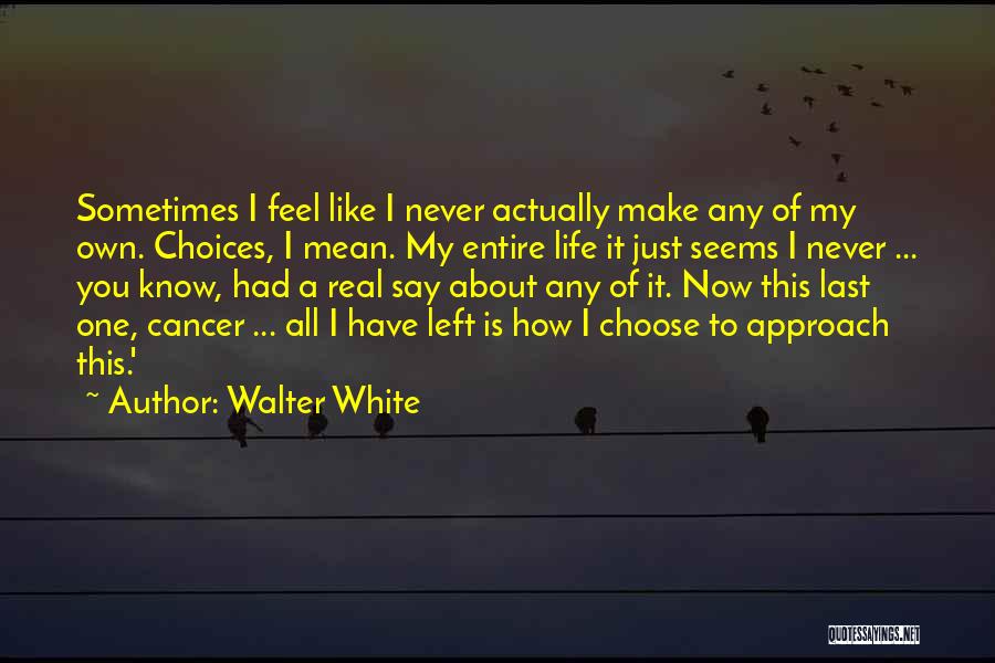 I Had Cancer Quotes By Walter White
