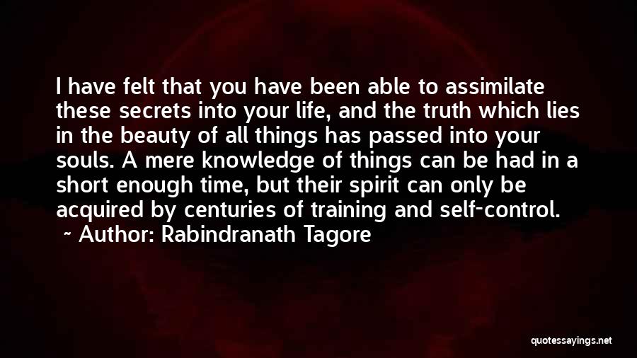 I Had Enough Of Your Lies Quotes By Rabindranath Tagore