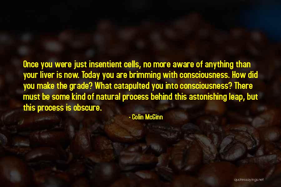I Hate Mosquitoes Quotes By Colin McGinn I Hate Mosquitoes Quotes By Colin McGinn