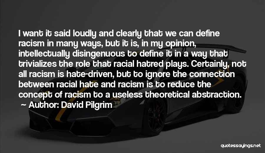 I Hate Racism Quotes By David Pilgrim