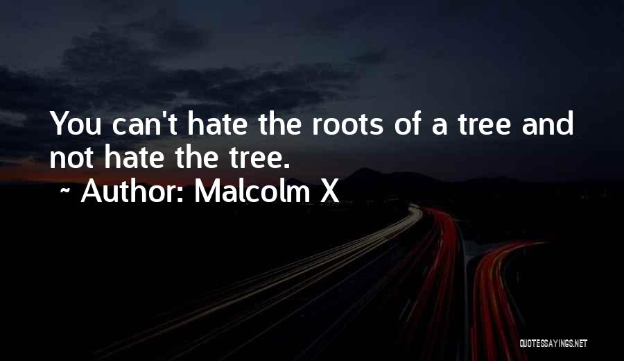 I Hate Racism Quotes By Malcolm X