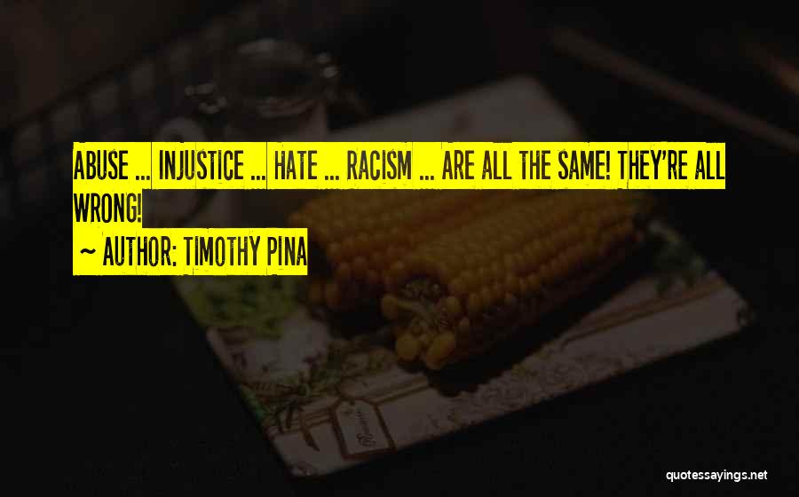 I Hate Racism Quotes By Timothy Pina