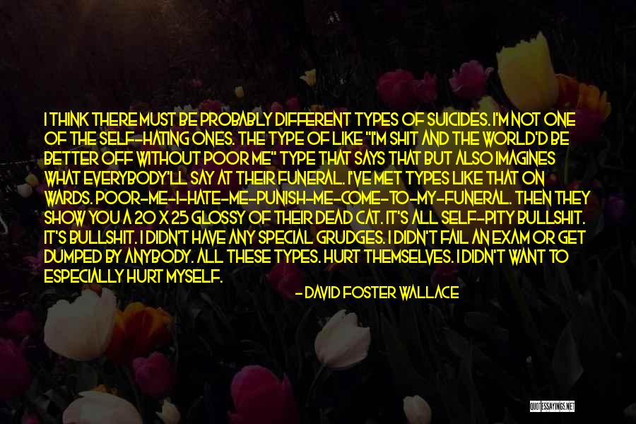 I Hate The Way I Don't Hate You Quotes By David Foster Wallace