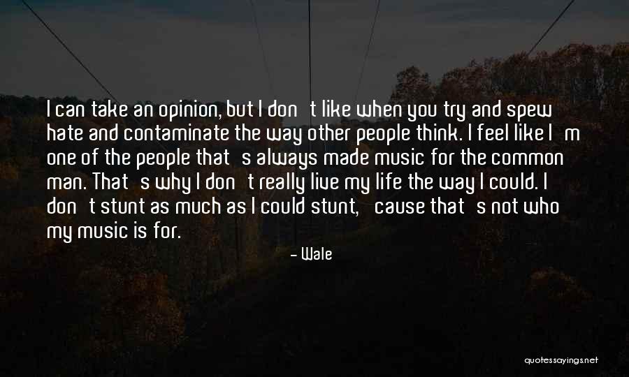 I Hate The Way I Don't Hate You Quotes By Wale