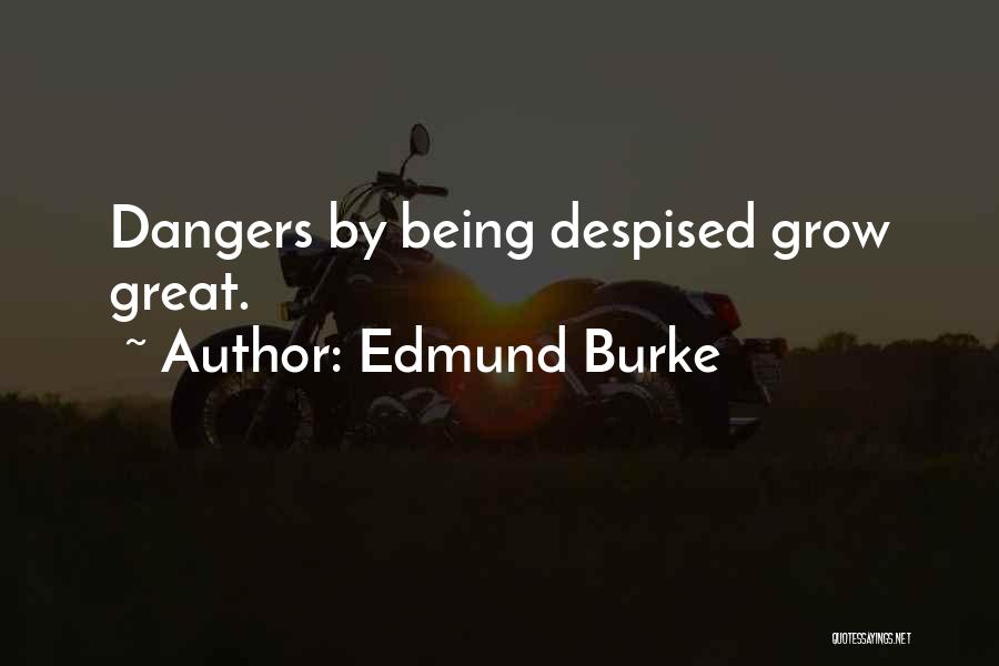 I Hate To Grow Up Quotes By Edmund Burke