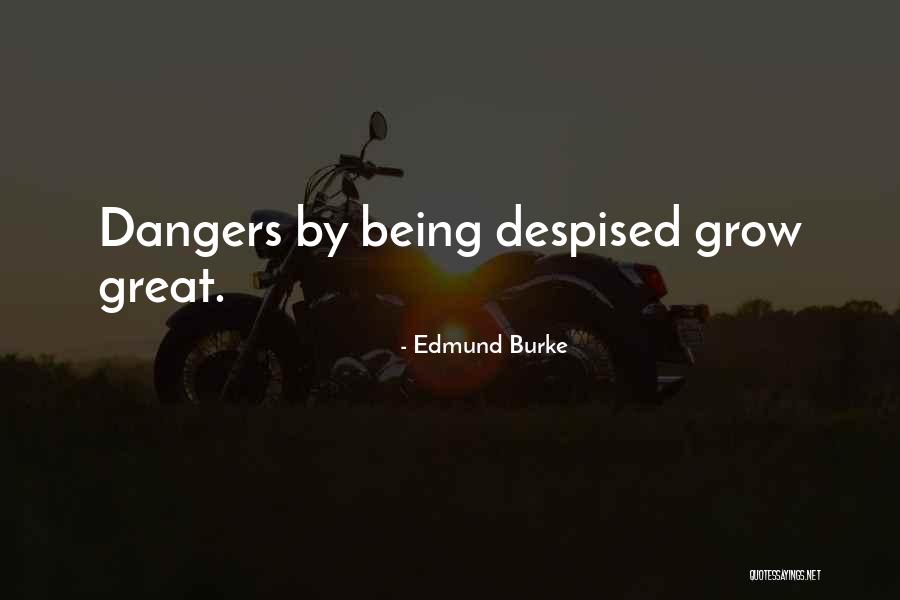 I Hate To Grow Up Quotes By Edmund Burke I Hate To Grow Up Quotes By Edmund Burke