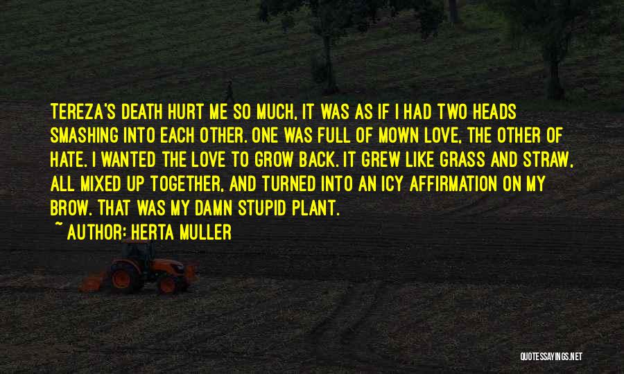 I Hate To Grow Up Quotes By Herta Muller