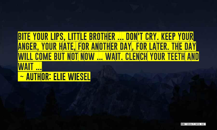 I Hate When I Cry Quotes By Elie Wiesel