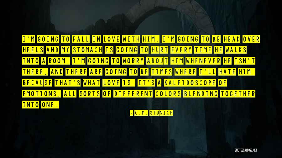 I Hate You Because You Hurt Me Quotes By C.M. Stunich