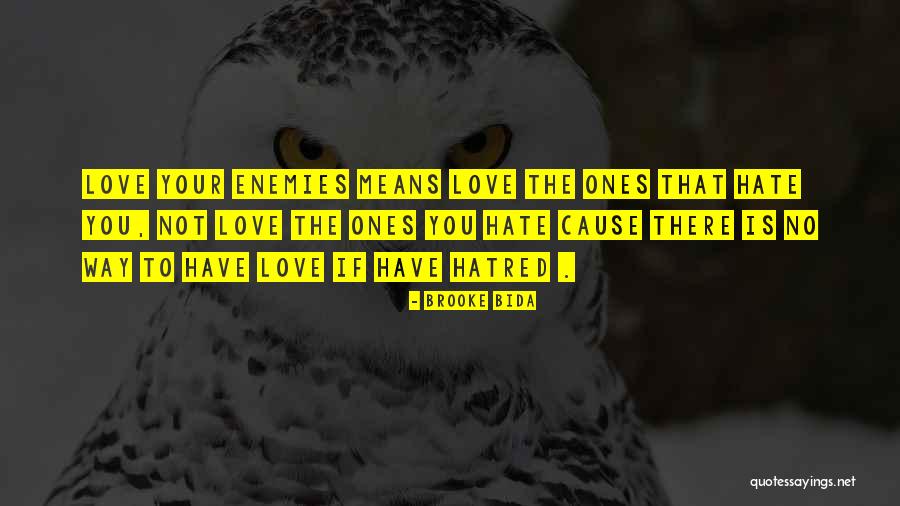 I Hate You Means I Love You Quotes By Brooke Bida I Hate You Means I Love You Quotes By Brooke Bida