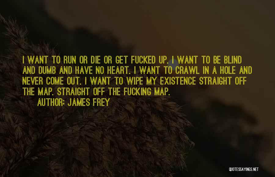 I Have A Hole In My Heart Quotes By James Frey