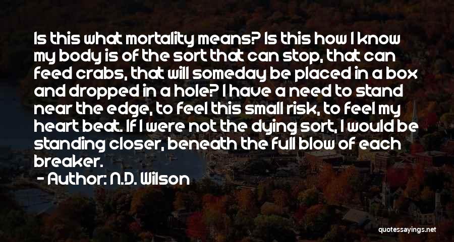 I Have A Hole In My Heart Quotes By N.D. Wilson