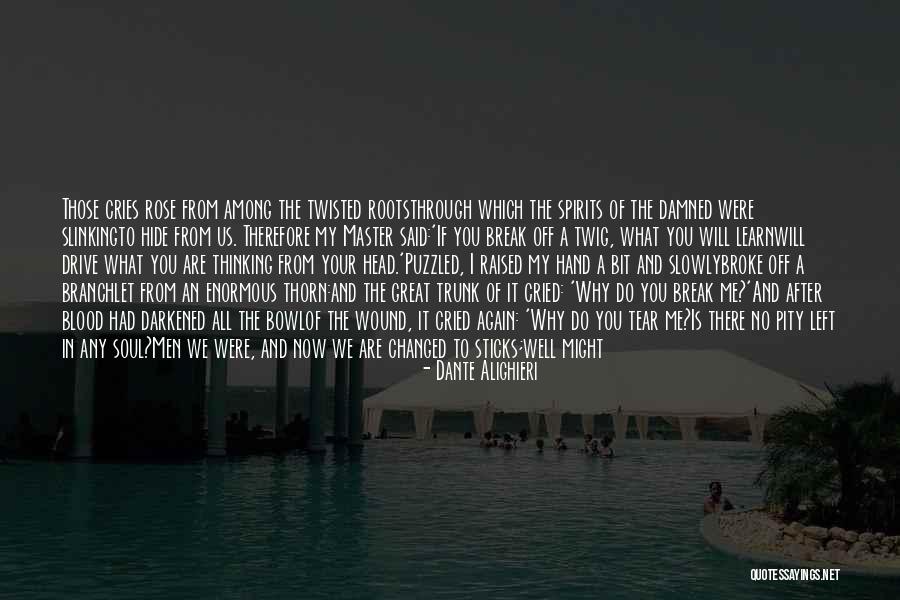 I Have Been Changed Quotes By Dante Alighieri I Have Been Changed Quotes By Dante Alighieri