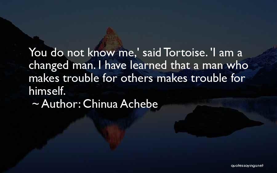 I Have Changed For You Quotes By Chinua Achebe