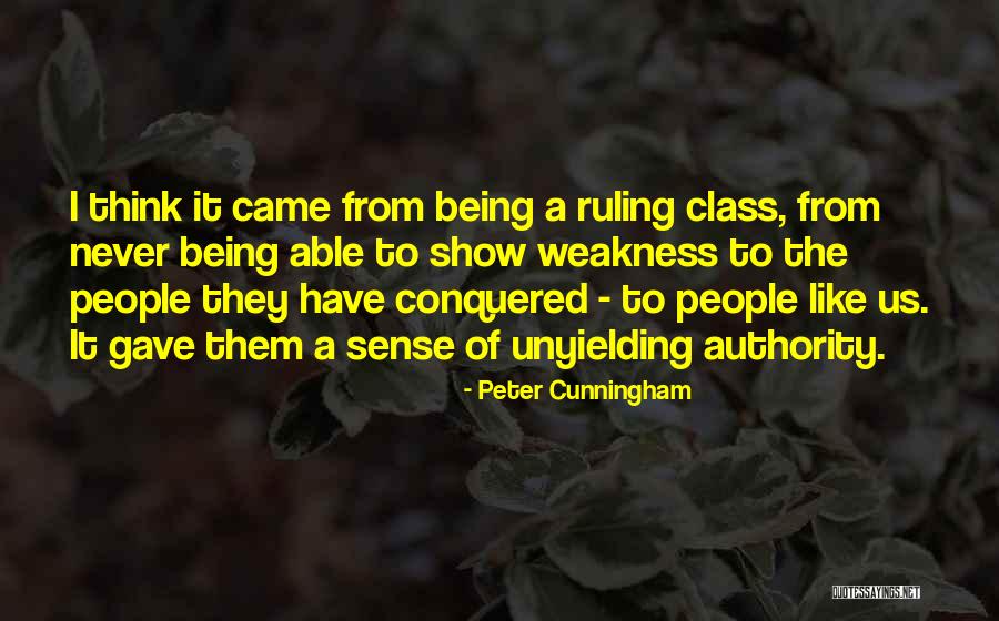 I Have Conquered Quotes By Peter Cunningham I Have Conquered Quotes By Peter Cunningham