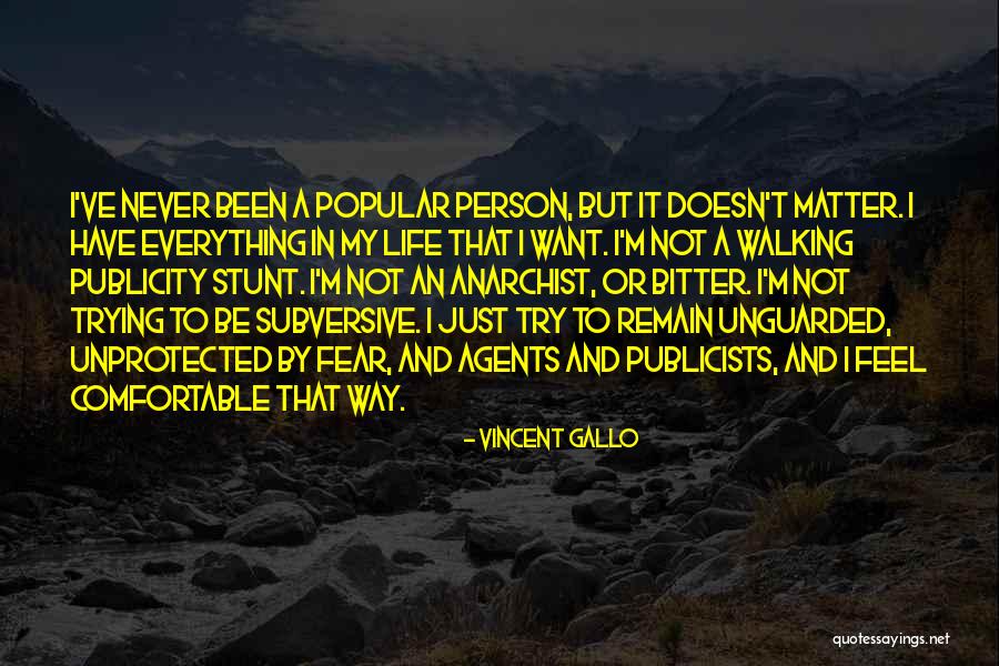 I Have Everything I Want Quotes By Vincent Gallo I Have Everything I Want Quotes By Vincent Gallo