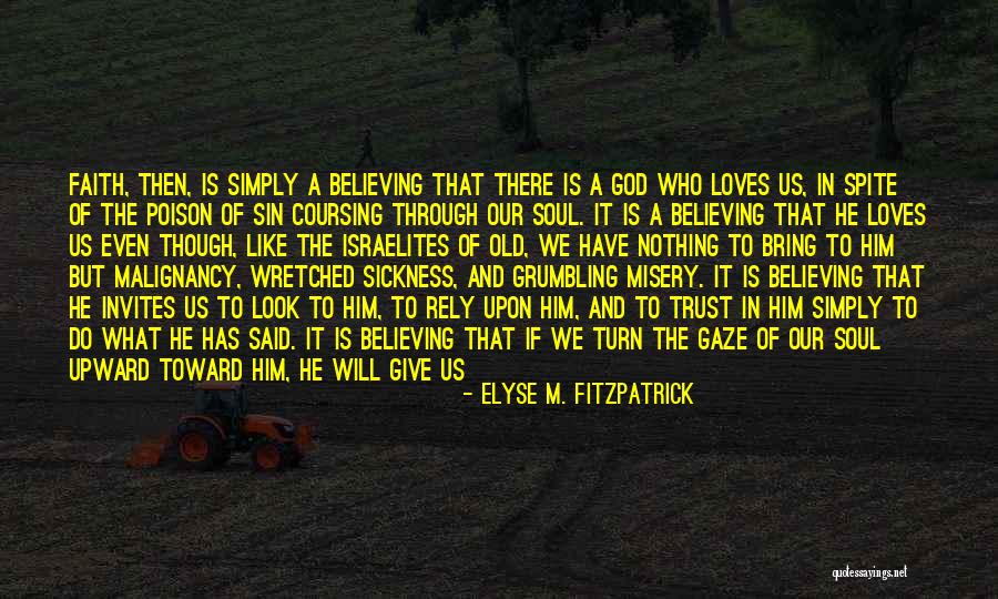 I Have Faith In Us Quotes By Elyse M. Fitzpatrick I Have Faith In Us Quotes By Elyse M. Fitzpatrick