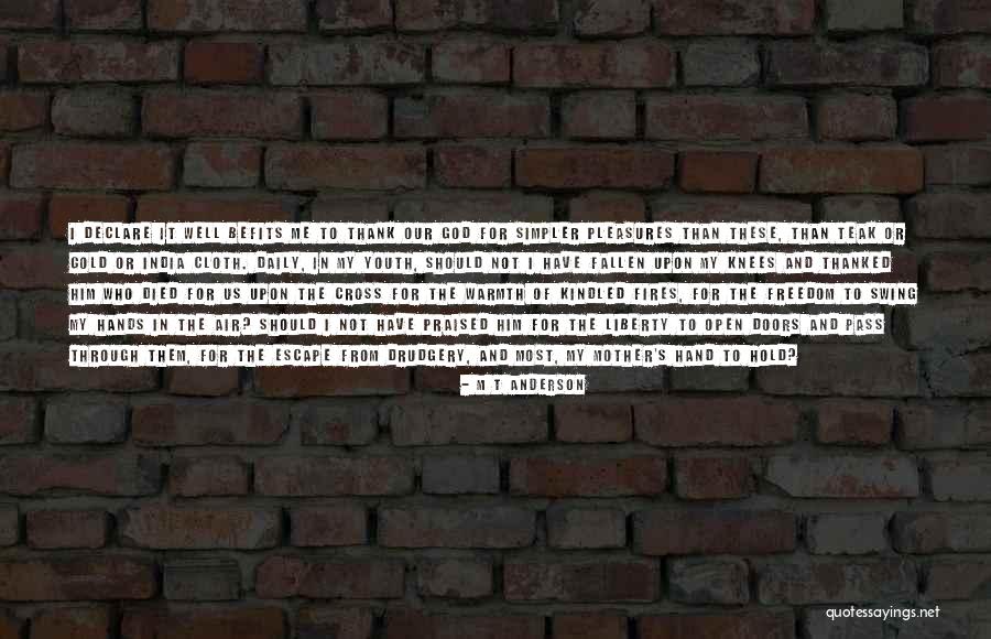 I Have Fallen For Him Quotes By M T Anderson
