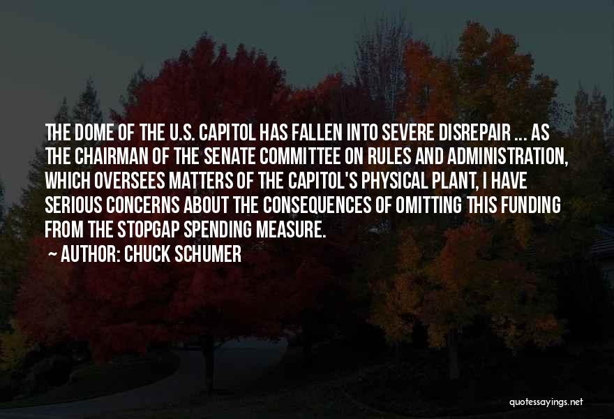 I Have Fallen Quotes By Chuck Schumer