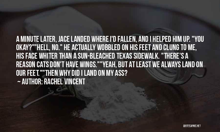 I Have Fallen Quotes By Rachel Vincent