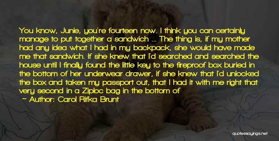 I Have Finally Found You Quotes By Carol Rifka Brunt