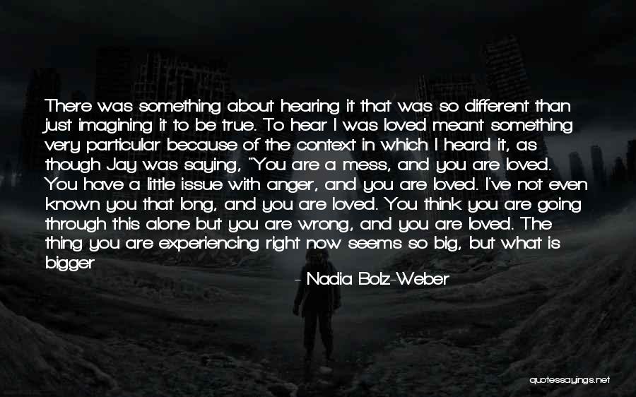 I Have Forgiven You Quotes By Nadia Bolz-Weber I Have Forgiven You Quotes By Nadia Bolz-Weber