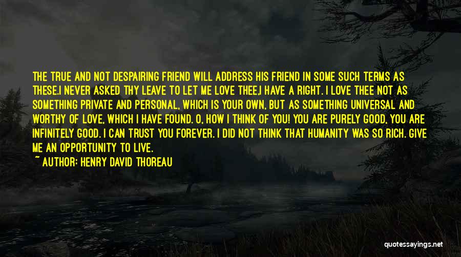 I Have Found A Friend In You Quotes By Henry David Thoreau