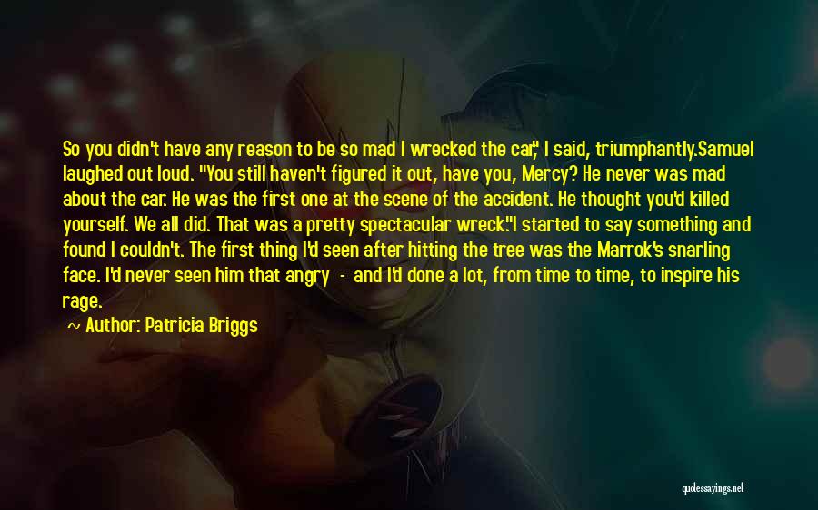 I Have Found Him Quotes By Patricia Briggs