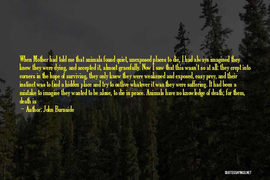 I Have Found Peace Quotes By John Burnside