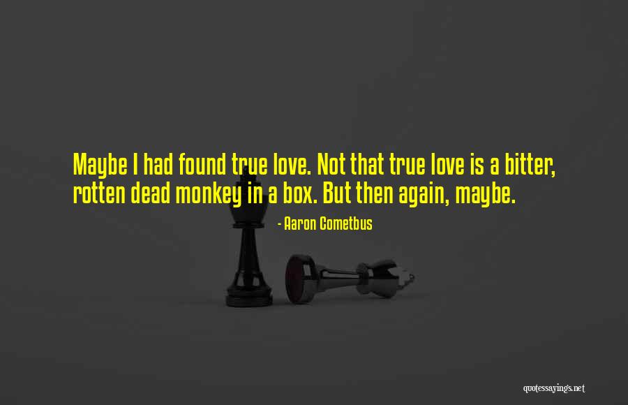 I Have Found True Love Quotes By Aaron Cometbus I Have Found True Love Quotes By Aaron Cometbus