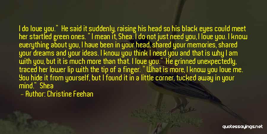 I Have Found You Quotes By Christine Feehan