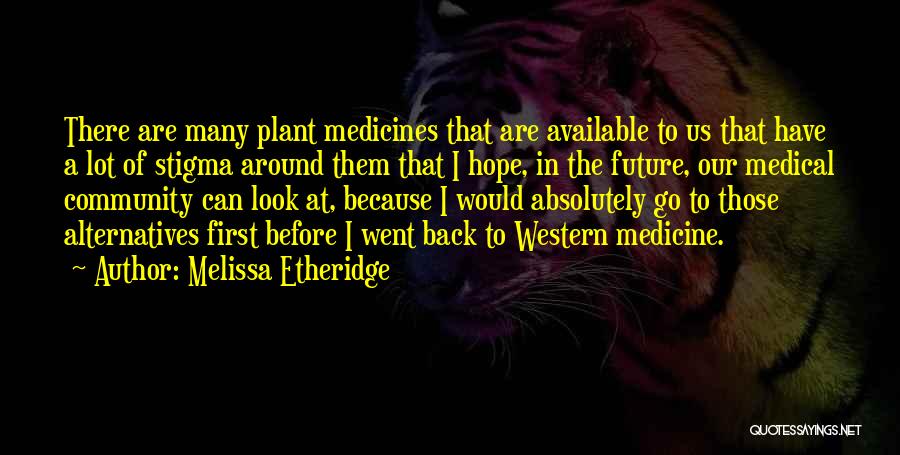 I Have Hope In Us Quotes By Melissa Etheridge