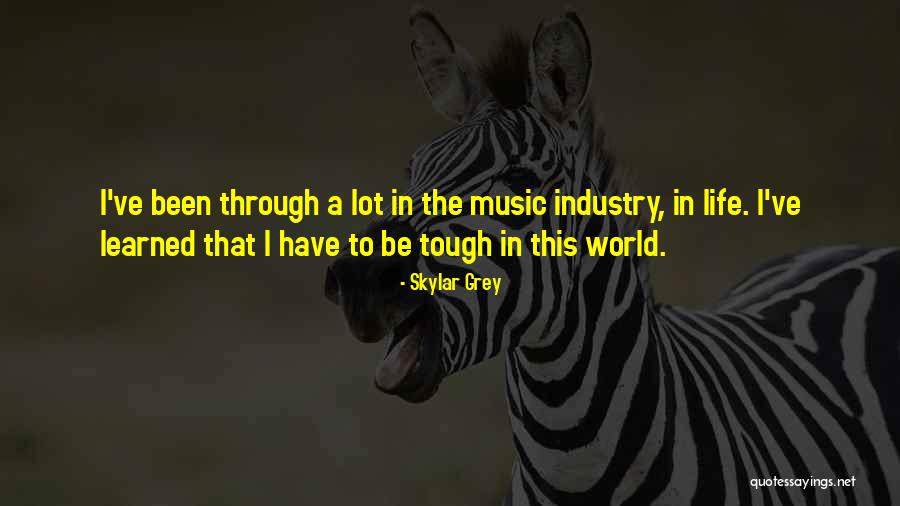 I Have Learned A Lot Quotes By Skylar Grey I Have Learned A Lot Quotes By Skylar Grey