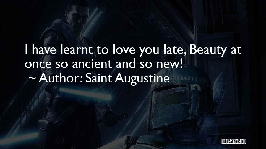 I Have Learnt Quotes By Saint Augustine