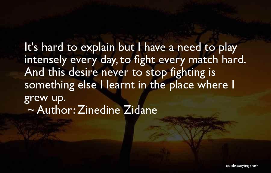 I Have Learnt Quotes By Zinedine Zidane