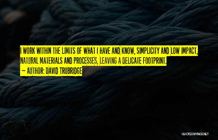 I Have Limits Quotes By David Trubridge