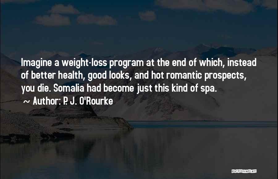 I Have Loss Weight Quotes By P. J. O'Rourke