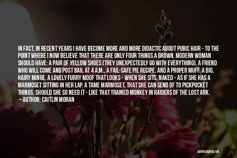 I Have Lost Everything Quotes By Caitlin Moran